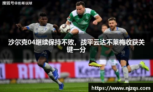 NG体育官网