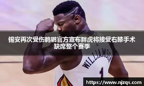 NG体育官网